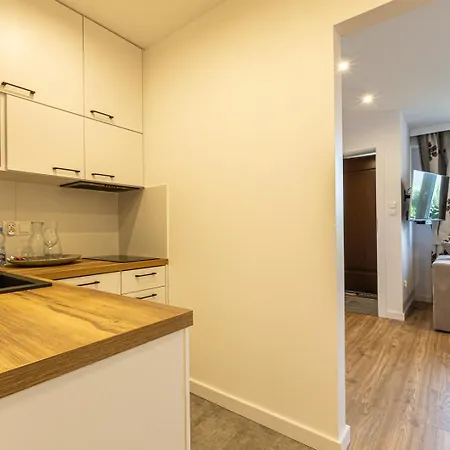 Tatry Mountain Apartment Zakopane